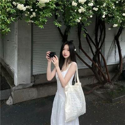 黑艳凤